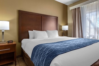 Room, 1 King Bed, Accessible, Non Smoking