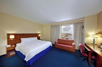 Room, 1 King Bed with Sofa bed