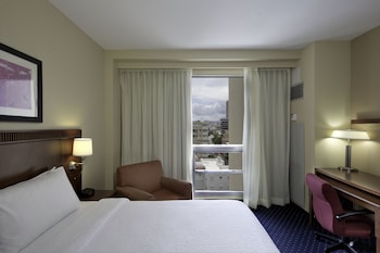 Room, 1 King Bed with Sofa bed (Hearing Accessible)