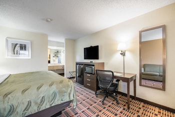 Room, 1 King Bed