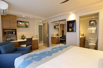 Standard Room, 1 King Bed (No Balcony/No Kitchen)