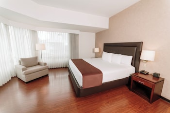 Suite, 1 King Bed with Sofa bed