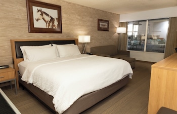 Standard Room, 1 King Bed, Pool View
