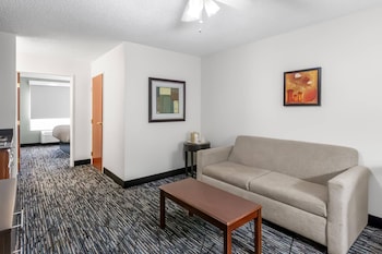 Suite, Non Smoking, Jetted Tub (1 King Bedroom)