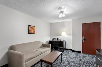 Suite, Non Smoking (1 King Bedroom)