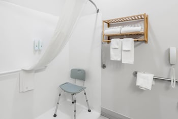 Standard Room, 1 King Bed with Sofa bed, Accessible, Non Smoking (Roll-In Shower)