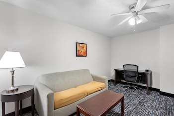 Suite, Non Smoking (1 King Bedroom)