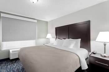 Standard Room, 1 King Bed with Sofa bed, Accessible, Non Smoking (Roll-In Shower)
