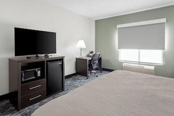 Room, 1 King Bed with Sofa bed, Non Smoking (Efficiency)