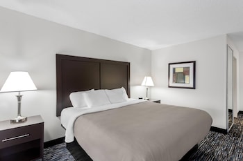 Room, 1 King Bed, Non Smoking