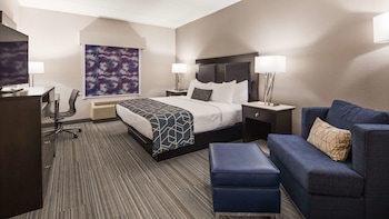 Standard Room, 1 King Bed, Non Smoking, Refrigerator & Microwave (Shower Only)