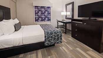 Standard Room, 1 King Bed, Non Smoking, Refrigerator & Microwave (Shower Only)