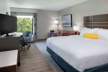 Suite, 1 King Bed with Sofa bed, Non Smoking