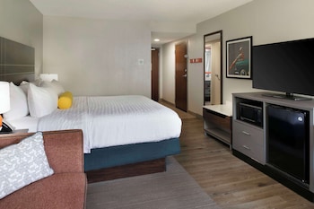 Suite, 1 King Bed with Sofa bed, Non Smoking