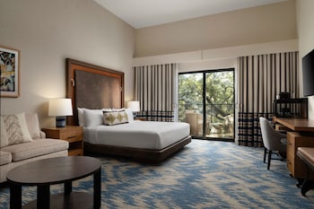 Room, 1 King Bed (Mobility/Hearing Access, Roll-In Shwr)