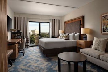 Room, 1 King Bed (Mobility/Hearing Access, Roll-In Shwr)