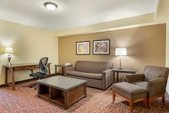 Suite, 1 King Bed, Non Smoking, Kitchen (with Sofabed, Full Kitchen)
