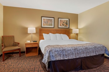 Standard Room, 1 King Bed, Non Smoking