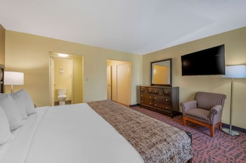 Suite, 1 King Bed, Non Smoking, Kitchen (with Sofabed, Full Kitchen)