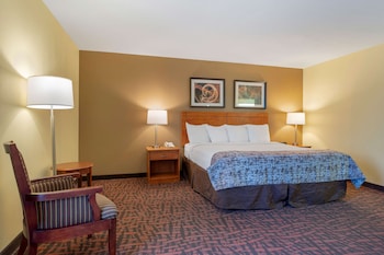 Standard Room, 1 King Bed, Accessible, Bathtub