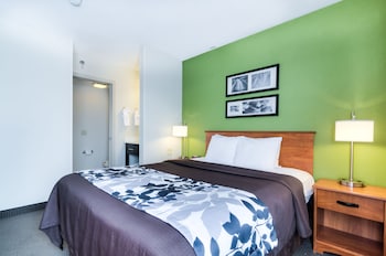 Standard Room, 1 Queen Bed, Non Smoking