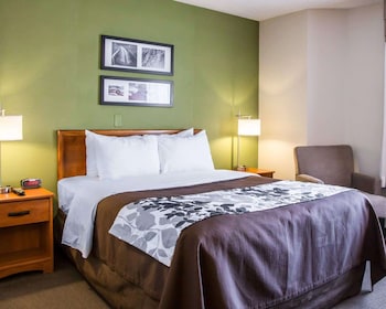 Room, 1 Queen Bed, Accessible, Non Smoking
