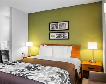 Standard Room, 1 Queen Bed, Non Smoking