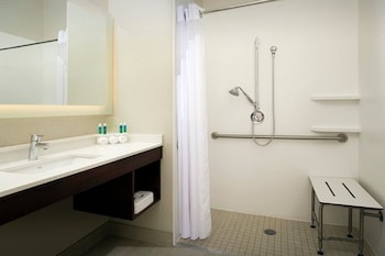 Room, Accessible (Roll-In Shower)