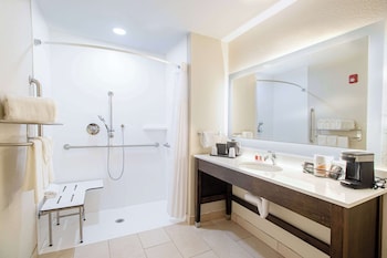 Room, 1 King Bed, Accessible, Non Smoking (Efficiency, Roll in Shower)