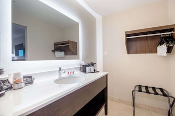 Room, 1 King Bed, Accessible, Non Smoking (Efficiency, Roll in Shower)