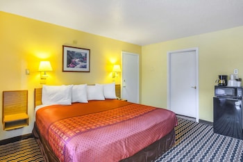 Room, 1 King Bed, Smoking, Microwave