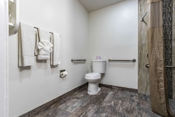 Deluxe Room, 1 Queen Bed, Non Smoking, Refrigerator & Microwave
