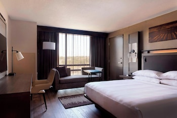 Room, 1 King Bed (Mobility Accessible, Tub)