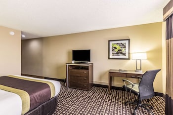 Standard Room, 1 King Bed, Non Smoking