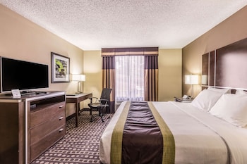 Standard Room, 1 King Bed, Non Smoking