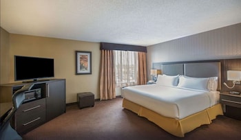 Suite, 1 King Bed with Sofa bed, Non Smoking