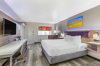 Standard Room, 1 King Bed, Accessible, Refrigerator & Microwave