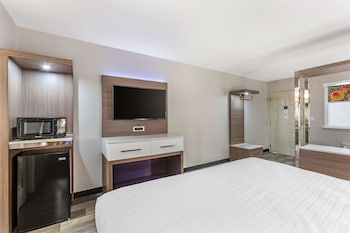 Standard Room, 1 King Bed, Non Smoking, Refrigerator & Microwave (Larger Room;with Sofabed)