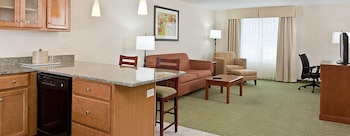 Suite, 1 King Bed