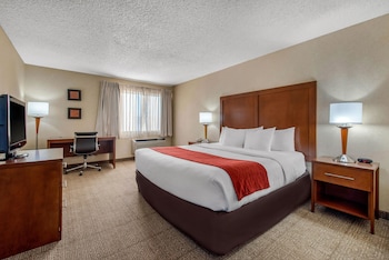 Standard Room, 1 King Bed, Non Smoking (No Pets)