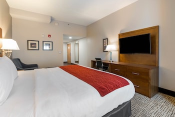 Room, 1 King Bed, Non Smoking, Bathtub