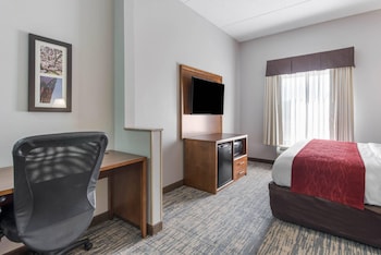 Suite, 1 King Bed with Sofa bed, Non Smoking