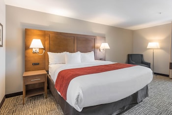 Room, 1 King Bed, Non Smoking, Bathtub