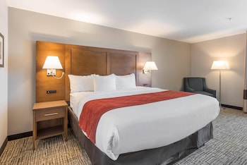 Room, 1 King Bed, Non Smoking, Bathtub