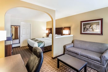 Suite, 1 King Bed with Sofa bed, Non Smoking