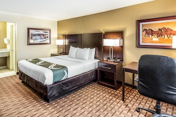 Room, 1 King Bed, Accessible, Non Smoking