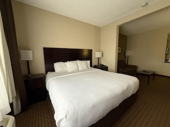 Suite, 1 King Bed, Non Smoking (Shower Only;with Sofabed)