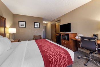 Room, 1 King Bed, Accessible, Non Smoking