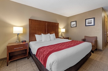Room, 1 King Bed, Accessible, Non Smoking