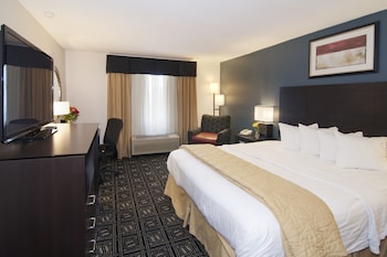 Room, 1 King Bed, Non Smoking